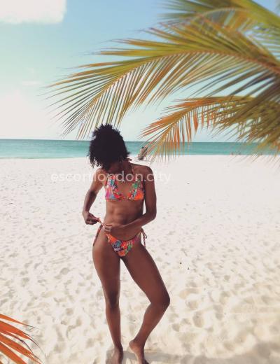 The prostitute Nicole - Photo 1 №489